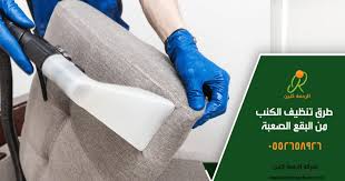 طريقة غسيل الكنب بالبيت من الغبار والبقع المختلفة في دقائق