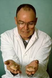 What is the 'true' function of skin?" by C M. Chuong, B J. Nickoloff et al.