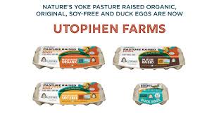 We did not find results for: Pasture Raised Eggs Nature S Yoke Free Range Eggs