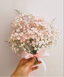 Buy Pink Filler Babys Breath Flower Online Wedding Flowers Babys Breath Buy Flowers Online