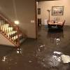 Basement waterproofing costs estimated to fix a wet. 1