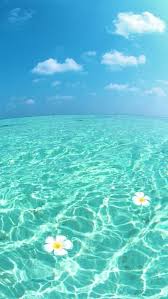 Download the best summer wallpapers backgrounds for free. Hello Summer Wallpaper Wallpaper Sun