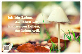 Ich Bin Leben Das Leben Will Inmitten Von Leben Das Leben Will Schweitzer