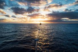 Soapbox soaps is just one of the five soap brands that give back and partner with sundara fund. Partners The Ocean Cleanup