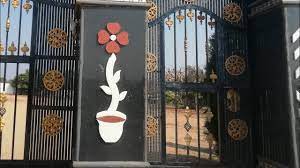Main gate pillar paint design. House Main Gate Pillar Design In Pakistan