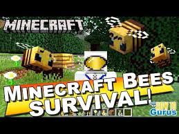 How To Find Bees And Collect Honey In Minecraft 1 15 Survival Mode And Minecraft 1 Minecraft Survival Survival Mode