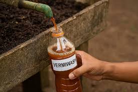 Vermiwash Liquid