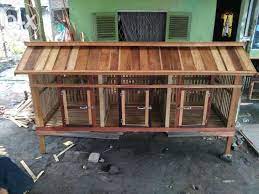 Model kandang sangat beragam, namun pada dasarnya bisa dikelompokan menjadi dua tipe dasar; Ukuran Ideal Kandang Ayam Bangkok Tentang Kolam Kandang Ternak Kandang Ayam Desain Kandang Ayam Desain
