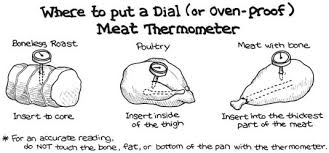 roasting times and temperatures for poultry and meat dummies