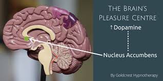 Research shows that it eases pain, speeds heali. How Hypnosis Can Help With Addiction When The Brain Is Hijacked