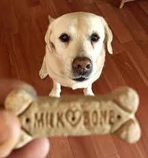 Happy Paws Dog Walking and Care