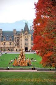 Biltmore House With The Giant Christmas Tree And Fall Colors In Asheville Candlelight Tour Biltmore House Christmas Destinations Biltmore Christmas