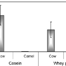 Camel milk is unique in its potential ability to help with allergies and autism, to mitigate autoimmune disease and diabetes and for heart and immune health. Pdf Are Camel Milk Proteins Convenient To The Nutrition Of Cow Milk Allergic Children