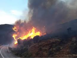 Πυρκαγιά σε χαμηλή βλάστηση στην περιοχή μαρκάτι του δήμου λαυρεωτικής ξέσπασε το πρωί της δευτέρας. Fwtia Layrio Twra Flash Gr