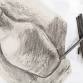 Watercolor 5 Week Course~ (adult) event image