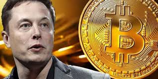 Musk's addition of bitcoin to his twitter profile comes after much speculation about whether the tesla. Elon Musk Wrote Bitcoin In His Twitter Bio And This Happened Highxtar