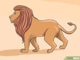 Marukochan13900 animasi bergerak hewan sumber : 4 Cara Untuk Menggambar Singa Wikihow