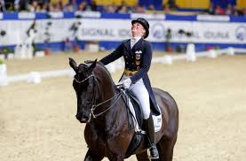 Weltcup Sieg Fur Jannis Drewell In Dortmund Lutkemeier Feiert Sieg Mit Fabregaz Reitturniere De News Ergebnisse Turnierkalender Ranglisten