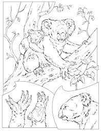 There are tons of great resources for free printable color pages online. Drawing Koala 9339 Animals Printable Coloring Pages