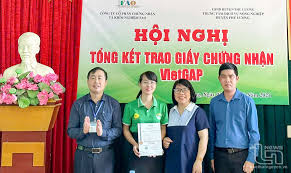 5 mô hình trồng trọt, chăn nuôi được cấp giấy chứng nhận VietGAP - Báo Thái  Nguyên điện tử