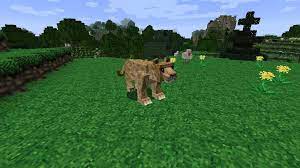 Better animals plus is a mod that adds new animals and creatures to our minecraft games. Mo Creatures Mod 1 17 1 1 16 5 1 15 2 Add Beautiful Animals