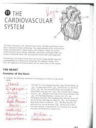 Please follow instruction step by step until finish to get anatomy and physiology coloring workbook: Ap Circulatory System Packet Key
