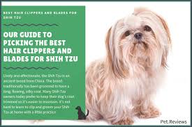 9 Best Professional Hair Clippers And Blades For Shih Tzu