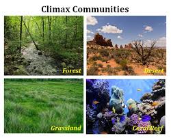 Stages Of Ecological Succession Ppt Easy Biology Class