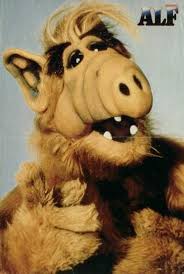 Alf L Extraterrestre In 2020 Alf Alien Life Forms Great Tv Shows