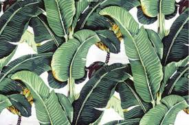 108 products mughal jungle wallpaper #325 Palm Desktop Wallpapers Wallpaper Cave