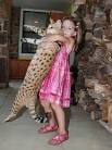 F1 thru F5 Savannah Cat Size Guide | African Cats ...