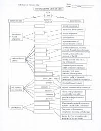 Animal cell structures and functions diagram. Name Period Cell Structure Concept Map Date Chegg Com
