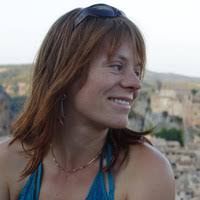 PDF) Groundwater sources and geochemical processes in a crystalline fault  aquifer