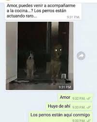 Amor Puedes Venir A Acompanarme Pinterest Memes Memes Spanish Memes