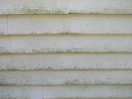 Disclaimer the global green growth institute does not make any warranty, either express or implied, or assumes any legal liability or responsibility for the accuracy, completeness, or any third party's use or the results of such use of any information, apparatus, product, or process disclosed of the information. Remove Algae From Vinyl Siding With This Handy Guide Washh
