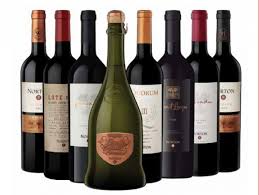 Resultado de imagen para BODEGAS  ARGENTINA NORTON
