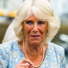 Phil Mckenna (@philxx99)