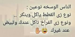 pin by mahmoud gamal on كرت cool words arabic quotes photo quotes