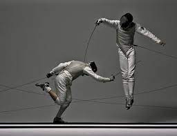 Silly Sword Fights Fence Fence Art Fencing Sport