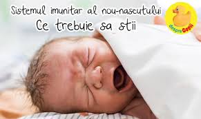 Iubirea mamei va ramane primavara este un anotimp in care totul renaste, totul este vesel, nou si proaspat. Sistemul Imunitar Al Nou Nascutului Ce Trebuie Sa Stii Desprecopii Com