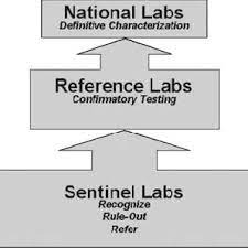 Hnl has so many labs they keep expanding but not paying much. The Cdc Laboratory Response Network A Multi Level System Linking Download Scientific Diagram