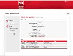Bartolini (adesso brt) è una delle aziende di spedizioni più importanti in italia. Controllo Spedizioni E Tracciamento Igrodry