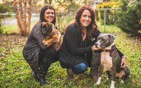 Visit us today and find your new. Puppy Love Read V3