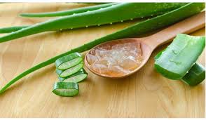 Kerutan di wajah bisa terjadi karena beberapa hal. Aloe Vera Si Pelembab Alami Tinggi Antioksidan Untuk Meremajakan Kulit Jpnn Com