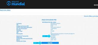 Instructivos Para Realizar Pagos Electronicos Pdf Descargar Libre