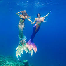 Habt ihr vielleicht schomal so etwas ähnliches gesehn? Werde Eine Meerjungfrau Mermaid Kat Academy