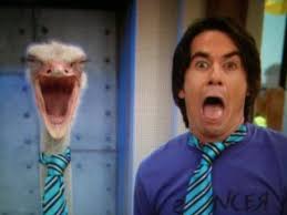 Icarly season 1 episode 11 irue the day. Marvin The Ostrich Icarly Wiki Fandom