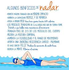 Pin De Esther Palma En Salud Beneficios De Nadar Salud Y Bienestar Fitness Facil