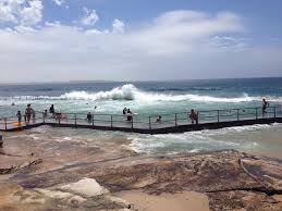 Enjoy a relaxing day of sunbathing and eating fish and chips or embrace the aussie lifestyle with a surfing lesson at one of sydney's most lively beaches. North Cronulla Beach Picture Of North Cronulla Beach Tripadvisor