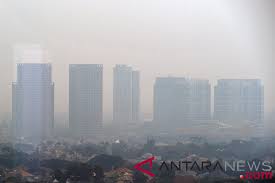Rumah sakit panti wilasa citarum semarang ini tergolong rumah sakit berstandar baik dengan menyediakan fasilitas peralatan lengkap, dan tenaga medis yangprofessional. Jenis Jenis Polutan Kendaraan Dan Bahayanya Bagi Kesehatan Antara News
